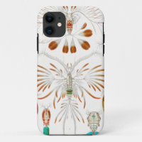 Marine Life Crustaceans, Copepoda by Ernst Haeckel