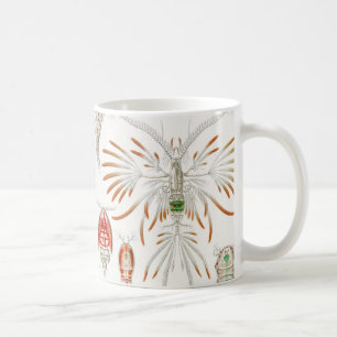 Marine Life Crustaceans, Copepoda by Ernst Haeckel Coffee Mug
