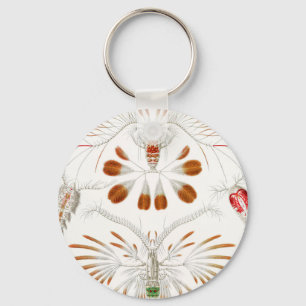 Marine Life Crustaceans, Copepoda by Ernst Haeckel Keychain