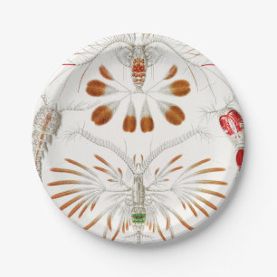 Marine Life Crustaceans, Copepoda by Ernst Haeckel Paper Plate