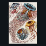 Marine life illustration - Ernst Haeckel Poster<br><div class="desc">Discomedusae–Scheibenquallen from Kunstformen der Natur (1904) by german zoologist,  naturalist,  professor,  and marine biologist,  Ernst Haeckel (1843–1919). Original from Library of Congress. The geometric shapes and natural forms,  captured with exceptional precision.</div>
