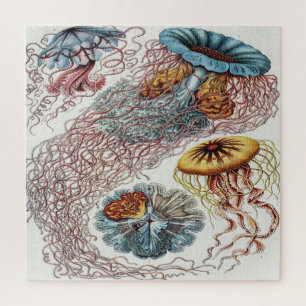 Marine Life Jellyfish Illustration - Ernst Haeckel Jigsaw Puzzle