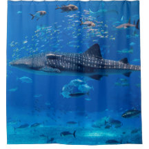 MARINE LIFE. SHARK WHALE MANTA RAY FISH OCEAN