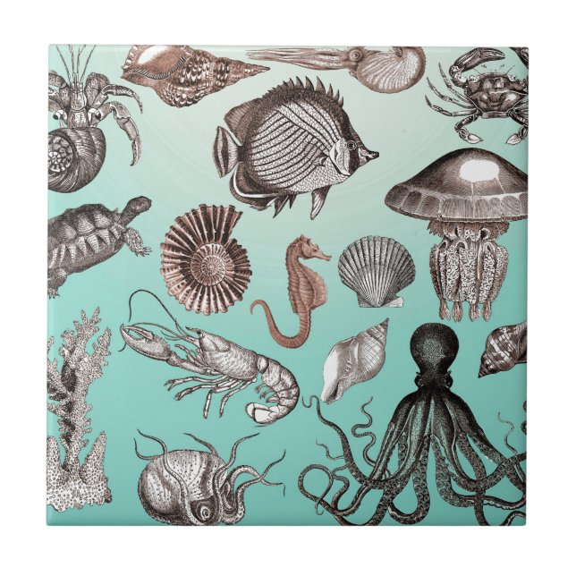Marine Life Tile (Front)