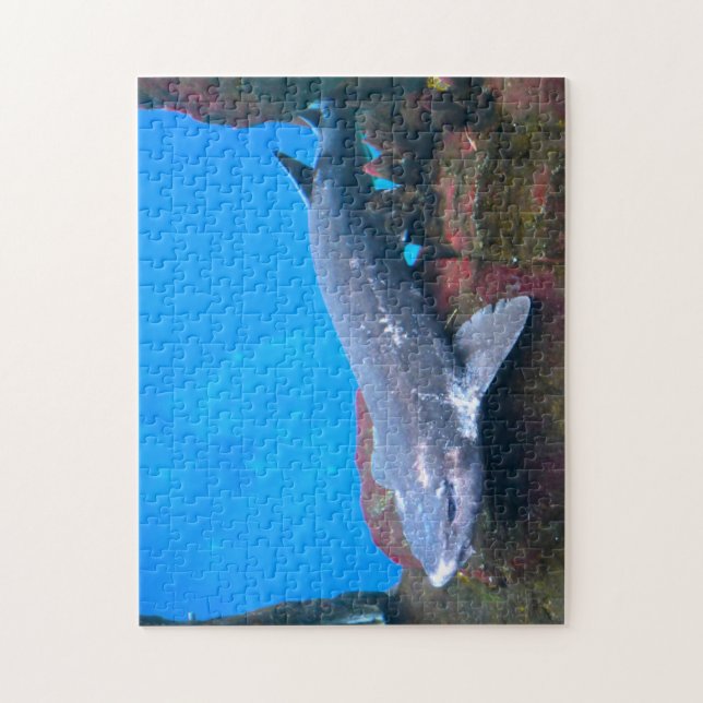 Marine Sharks. Jigsaw Puzzle (Vertical)