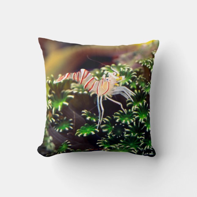 Marine Shrimp , Lebeus balssi Throw Pillow (Front)