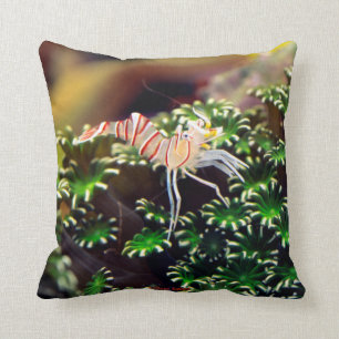 Marine Shrimp , Lebeus balssi Throw Pillow