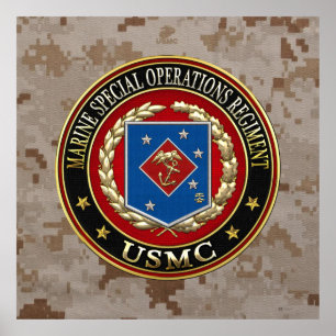 Marine Special Operations Regiment (MSOR) [3D] Poster