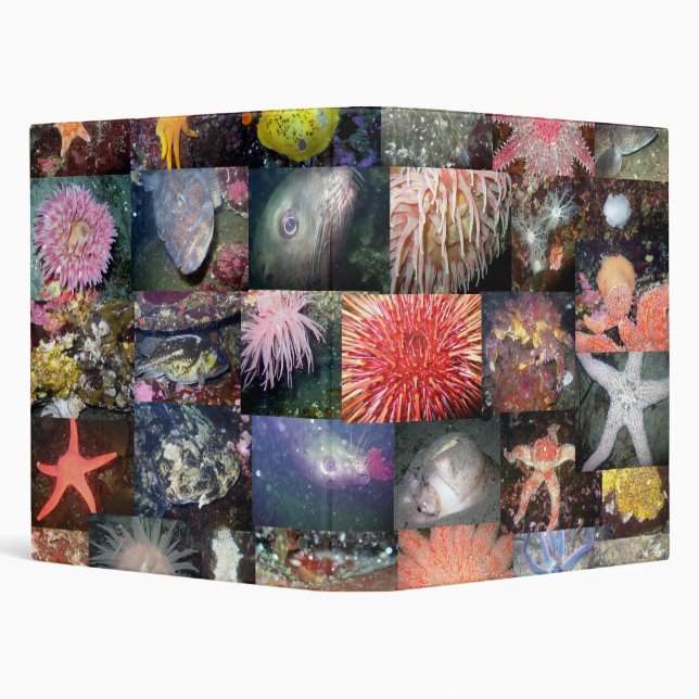 Marine Species Collage - Avery Binder (Background)