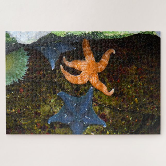 Marine Star Fish. Jigsaw Puzzle (Horizontal)