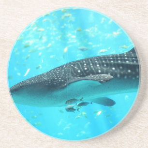Marine Water Chic Stylish Cool Blue Whale Shark Coaster