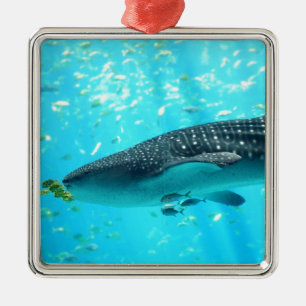 Marine Water Chic Stylish Cool Blue Whale Shark Metal Ornament