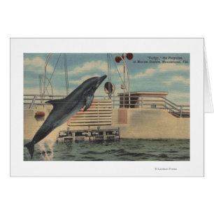 Marineland, Floride - Vue de Pudgy le