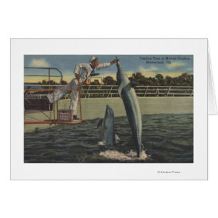 Marineland, Floride - Vue des marsouins d'alimenta