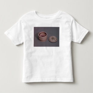 Mariner's compass in an ivory case toddler t-shirt
