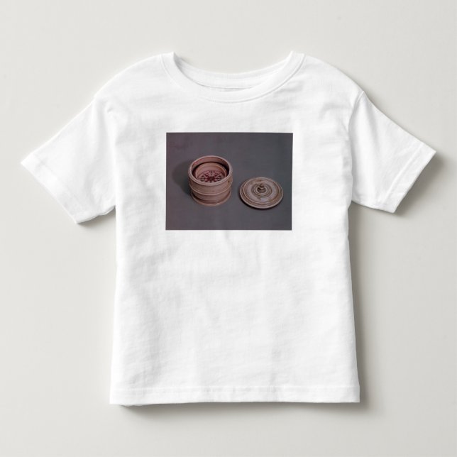 Mariner's compass in an ivory case toddler t-shirt (Front)