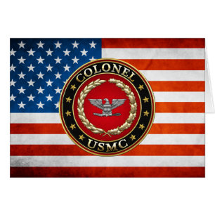 Marines américains : Colonel (Col de l'USMC) [3D]