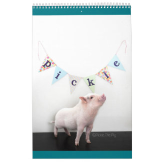 Marinez le calendrier de porc