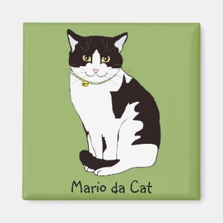 Mario da Cat Magnet
