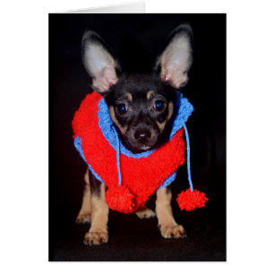 Marionnette en laine