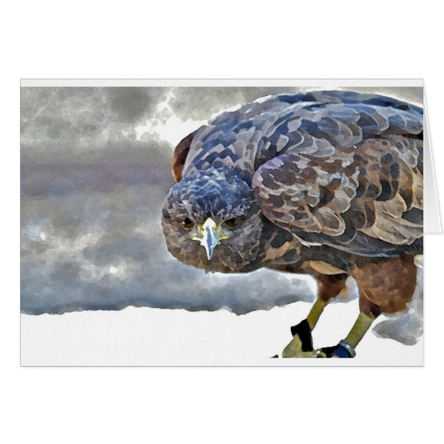 Mariposa (Devant horizontal)