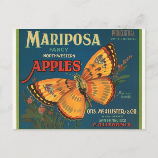 Mariposa Apples Postcard (Front)