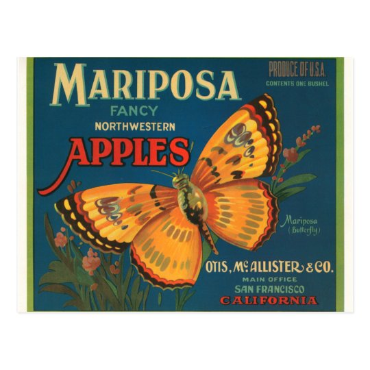 Mariposa Apples Postcard