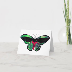 Mariposa ~ Card / Invitations