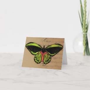 Mariposa ~ Card / Invitations