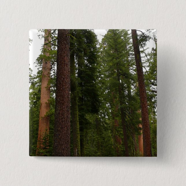 Mariposa Grove in Yosemite National Park 2 Inch Square Button (Front)
