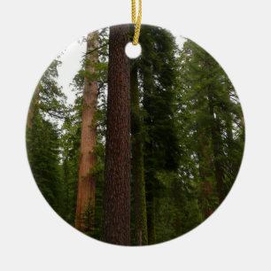 Mariposa Grove in Yosemite National Park Ceramic Ornament
