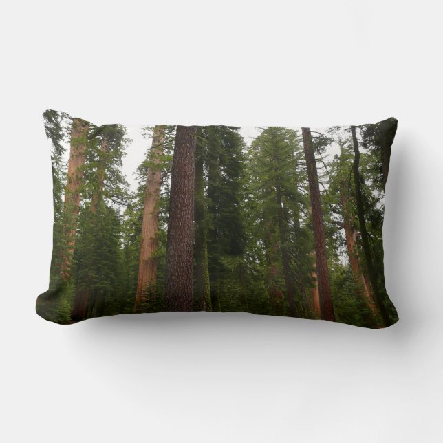 Mariposa Grove in Yosemite National Park Lumbar Pillow (Front)