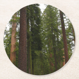 Mariposa Grove in Yosemite National Park Round Paper Coaster