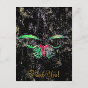 Mariposa ~ Postcard / Invitation Butterfly