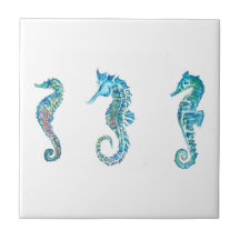 Maritim Seahorse Hippocampus