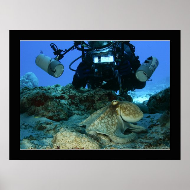 Mark and the Octopus Poster (Front)