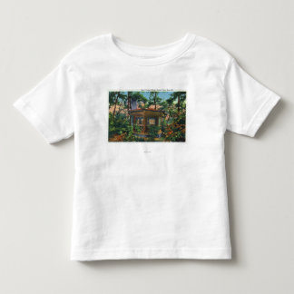 Mark Twain's Study at Quarry Farm, East Hill Toddler T-shirt