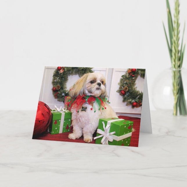 Marley - Shih Tzu - Robbins Holiday Card (Front)