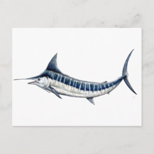 Marlin azul-redbubble postcard