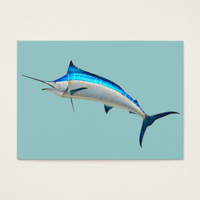 Marlin bleu (Devant)