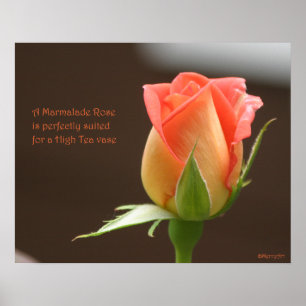 Marmalade Rose Poster: ROSE & PROSE 20x16 Poster