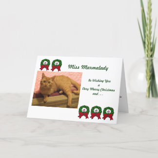 Marmalady Chat Secourir les cartes de Noël