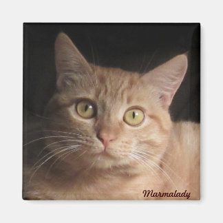 Marmalady Magnet