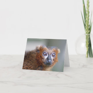 Marmoset Card