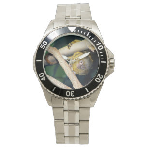 Marmoset Monkey Hi There, Mens Wristwatch