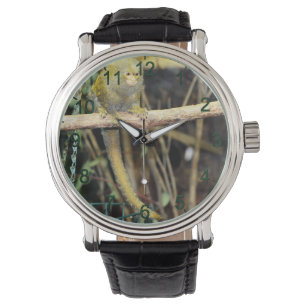 Marmoset Monkey On Alert, Mens Wrist Watch
