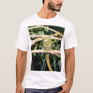Marmoset Monkey Sitting On A Branch, T-Shirt
