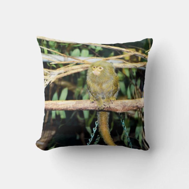 Marmoset Monkey Sitting On Branch, Cushion (Front)