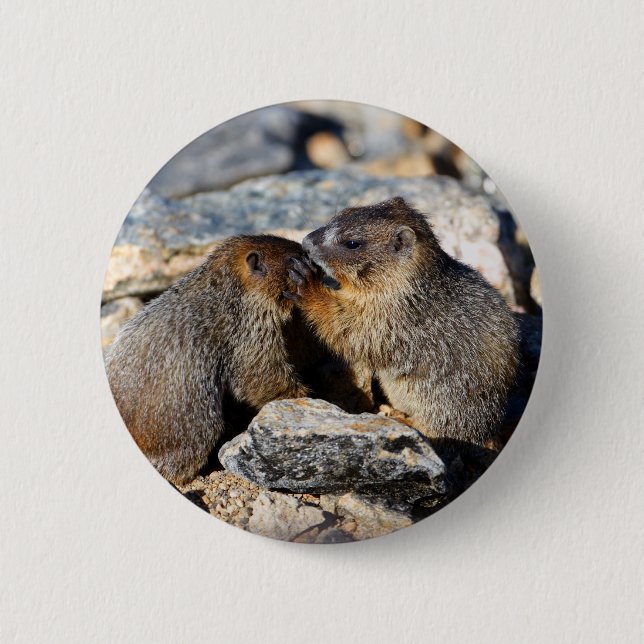 marmot 2 inch round button (Front)