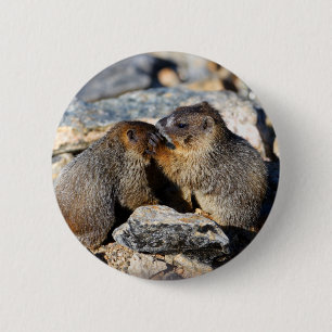 marmot 2 inch round button